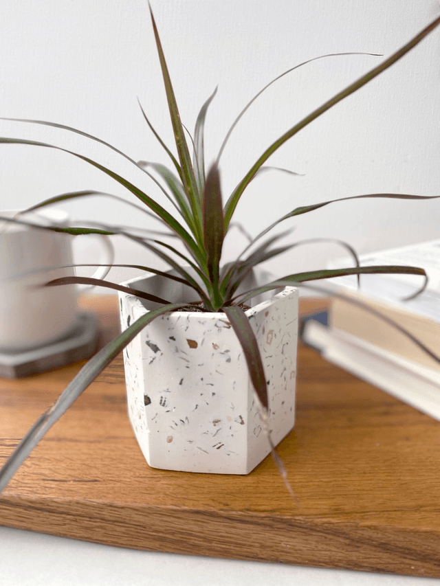 Storage Pot