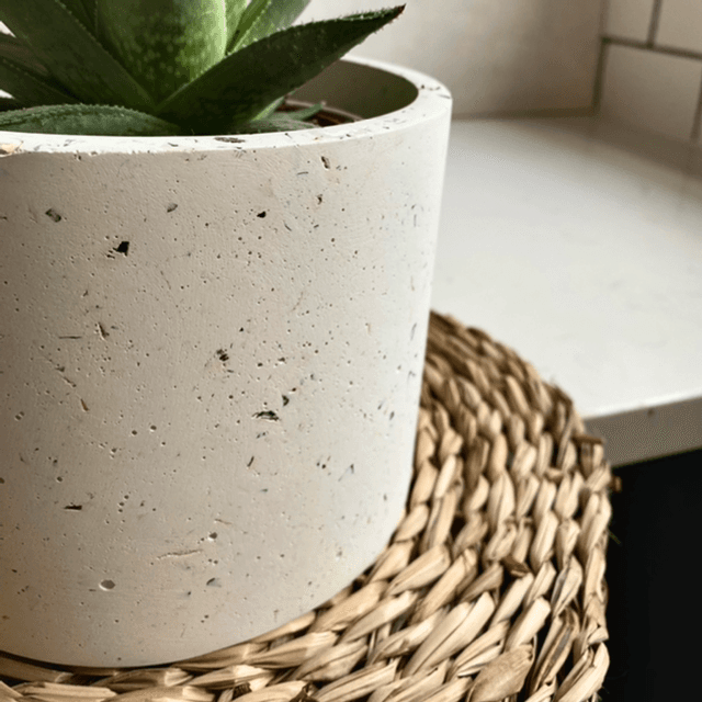 Plant Pot 